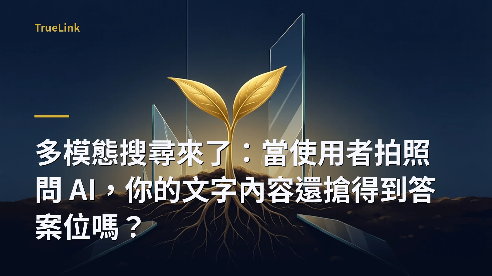 多模態搜尋來了：當使用者拍照問 AI，你的文字內容還搶得到答案位嗎？