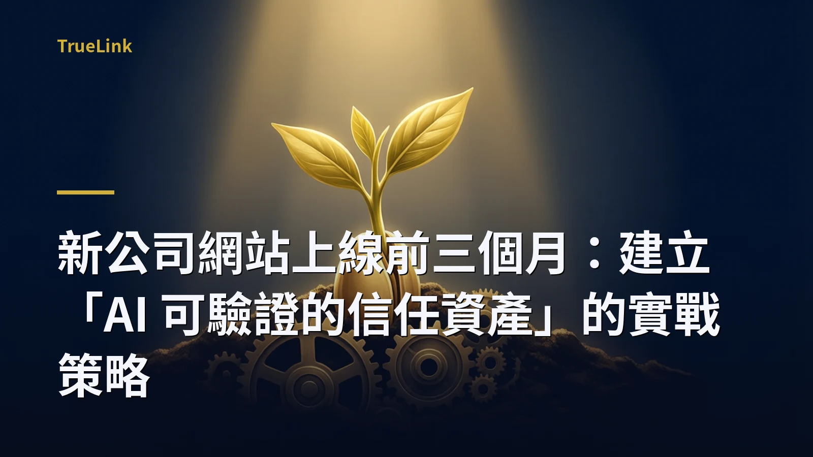 新公司網站上線前三個月:建立「AI 可驗證的信任資產」的實戰策略