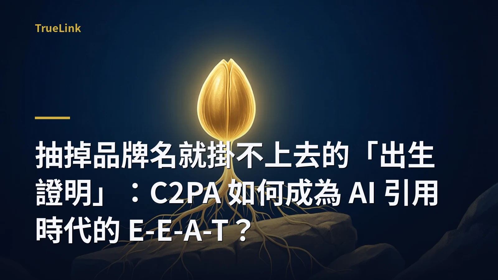 抽掉品牌名就掛不上去的「出生證明」:C2PA 如何成為 AI 引用時代的 E-E-A-T?