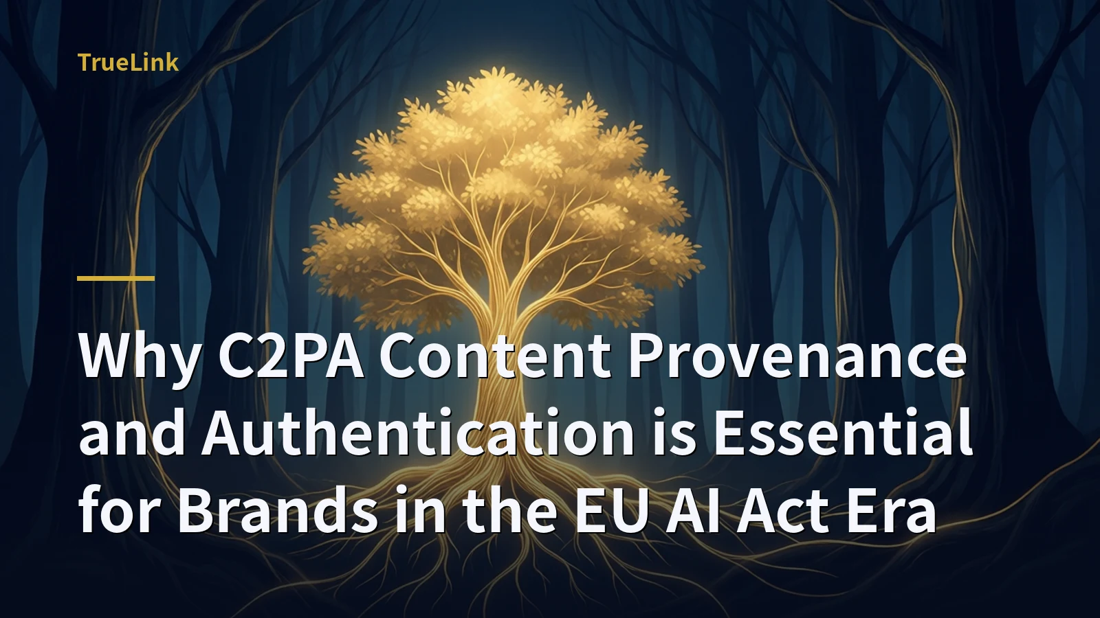 Why C2PA Content Provenance and Authentication is Essential for Brands in the EU AI Act Era