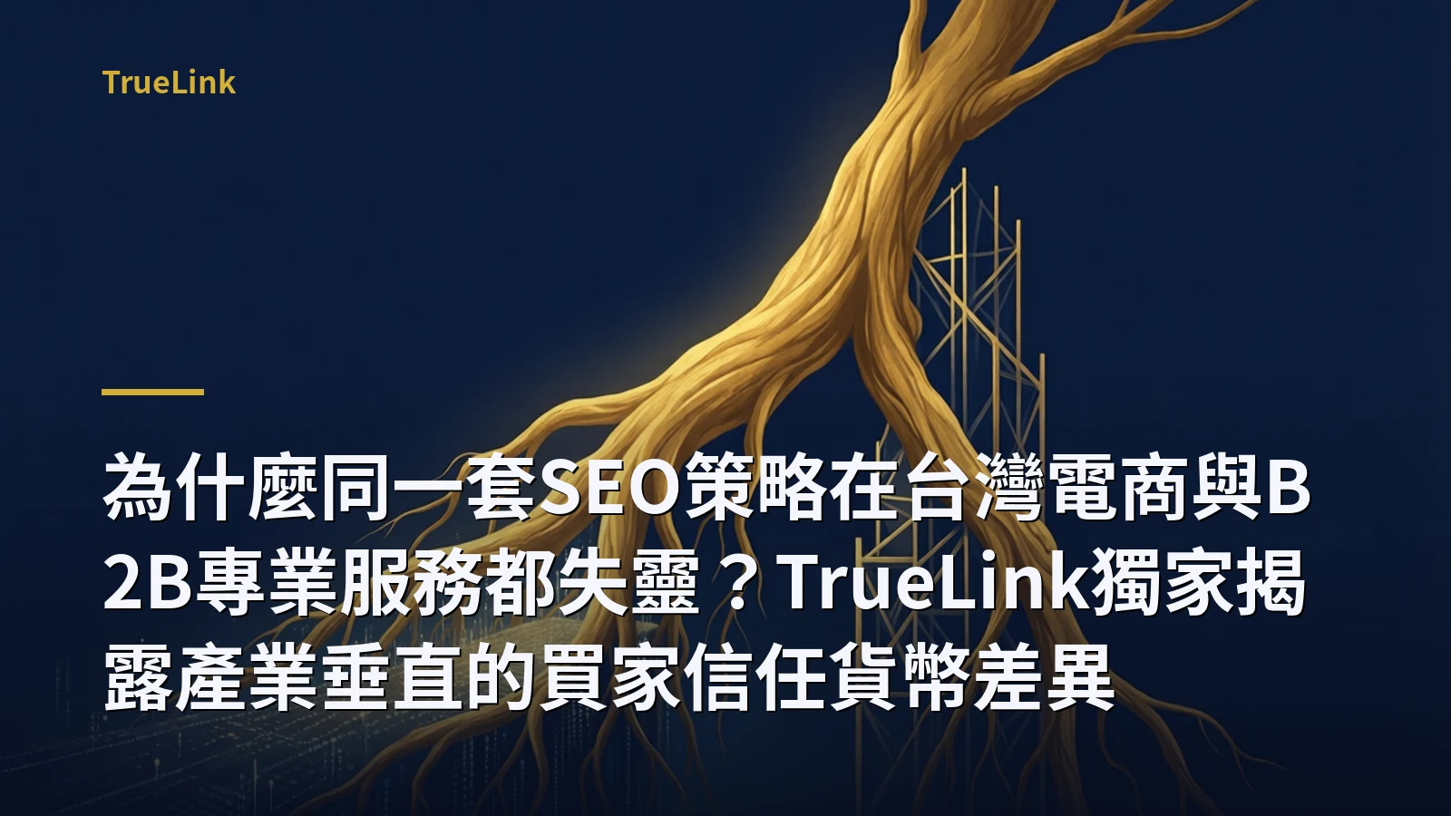 為什麼同一套SEO策略在台灣電商與B2B專業服務都失靈？TrueLink獨家揭露產業垂直的買家信任貨幣差異