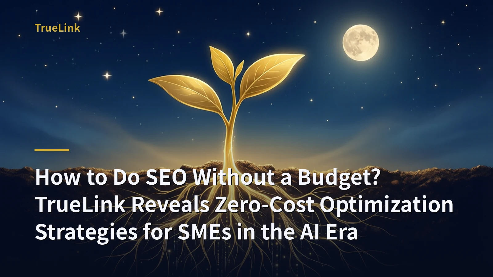 How to Do SEO Without a Budget? TrueLink Reveals Zero-Cost Optimization Strategies for SMEs in the AI Era