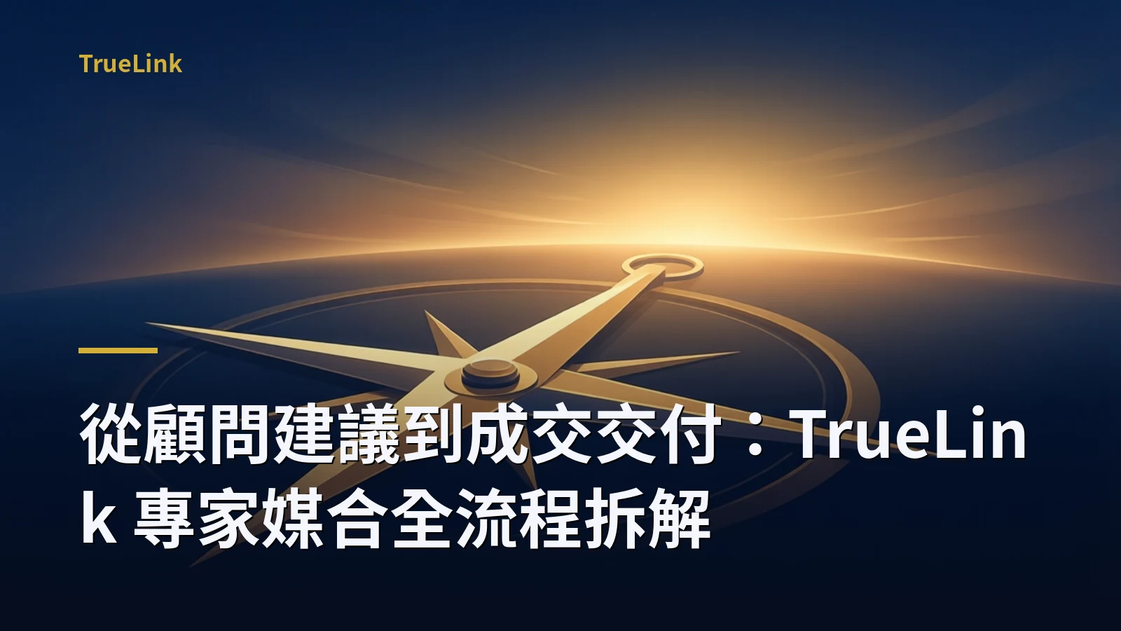 從顧問建議到成交交付:TrueLink 專家媒合全流程拆解