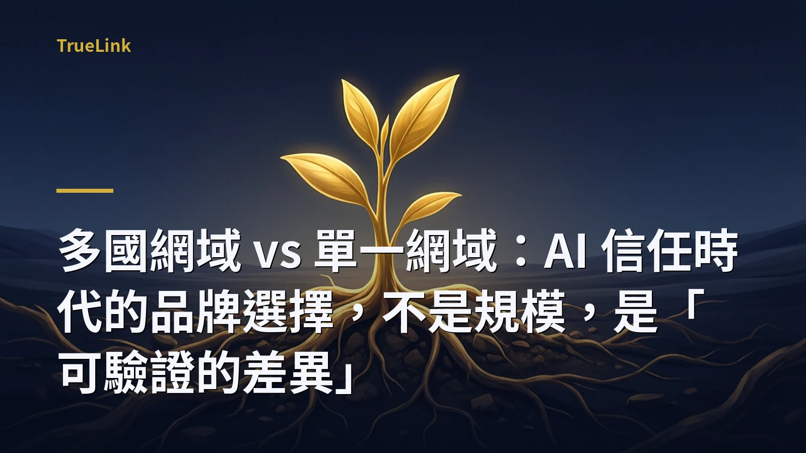 多國網域 vs 單一網域：AI 信任時代的品牌選擇，不是規模，是「可驗證的差異」