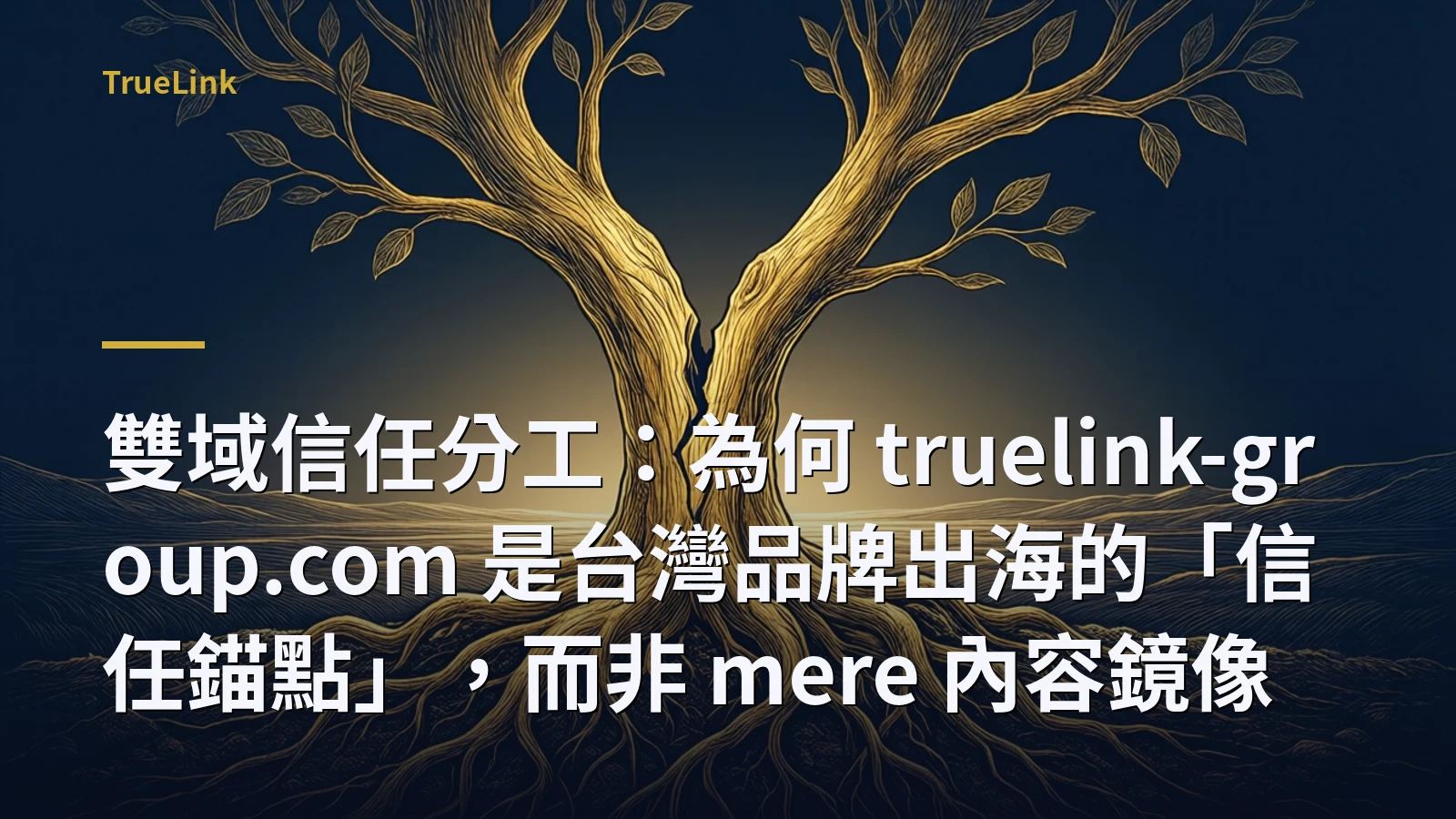 雙域信任分工：為何 truelink-group.com 是台灣品牌出海的「信任錨點」，而非 mere 內容鏡像