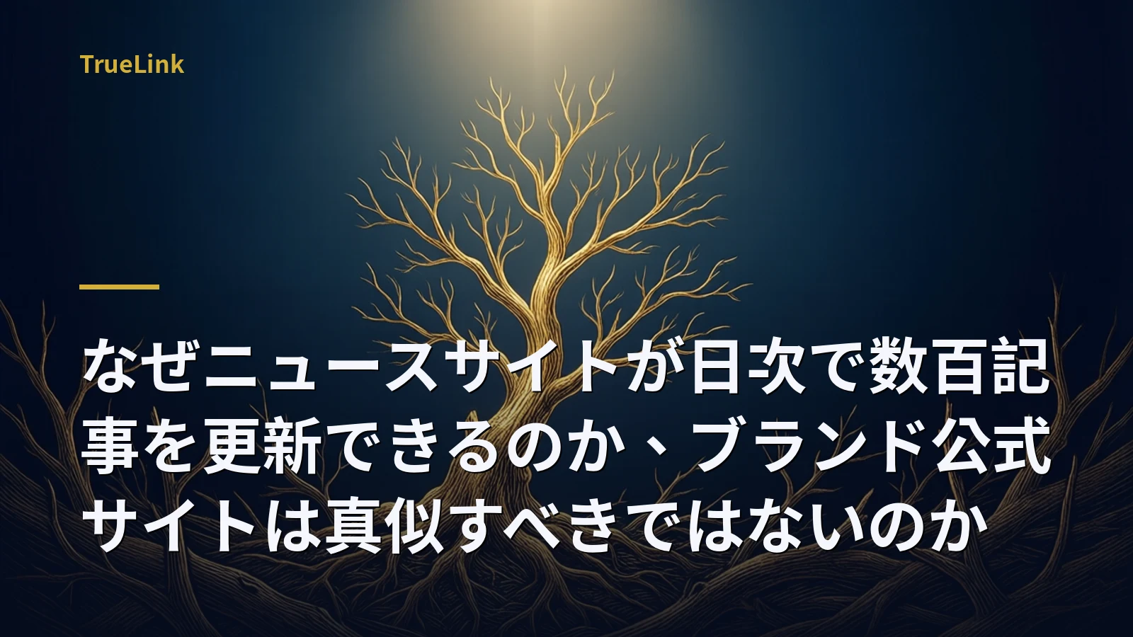 なぜニュースサイトが日次で数百記事を更新できるのか、ブランド公式サイトは真似すべきではないのか